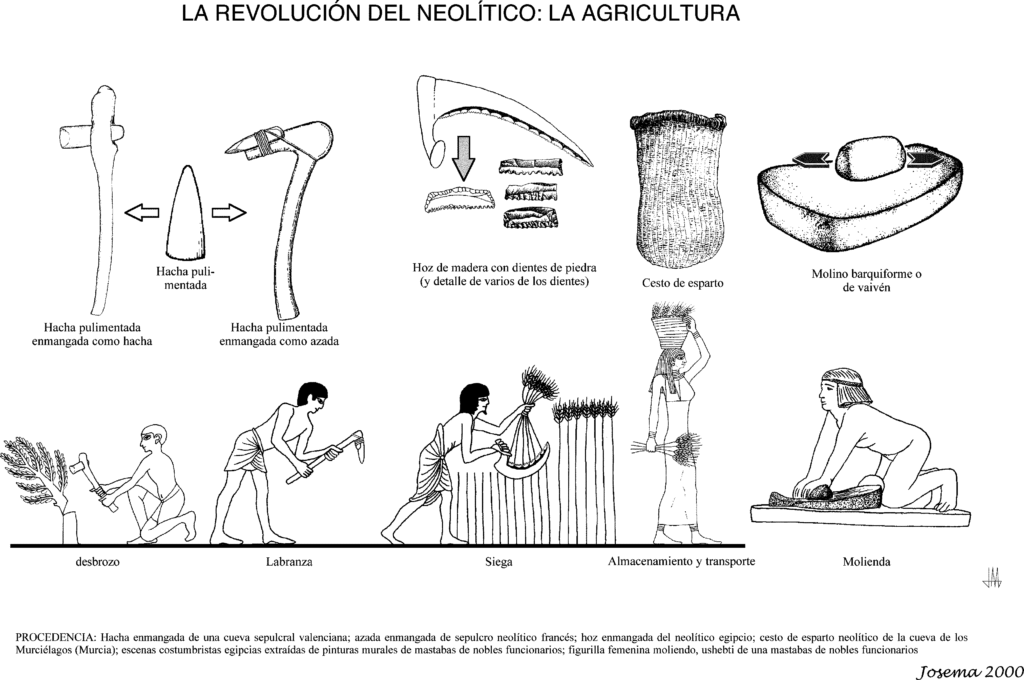 Neolitico-agricultura